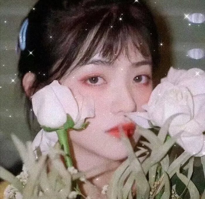 茶啊二中第三季